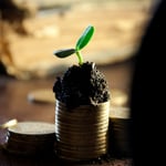 Dividend