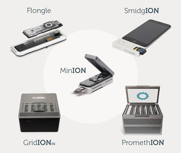 IP Group | Oxford Nanopor