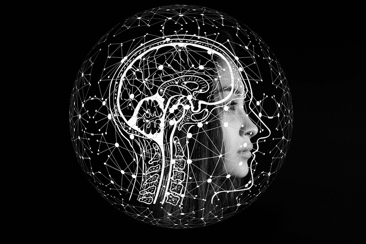 Cambridge Cognition