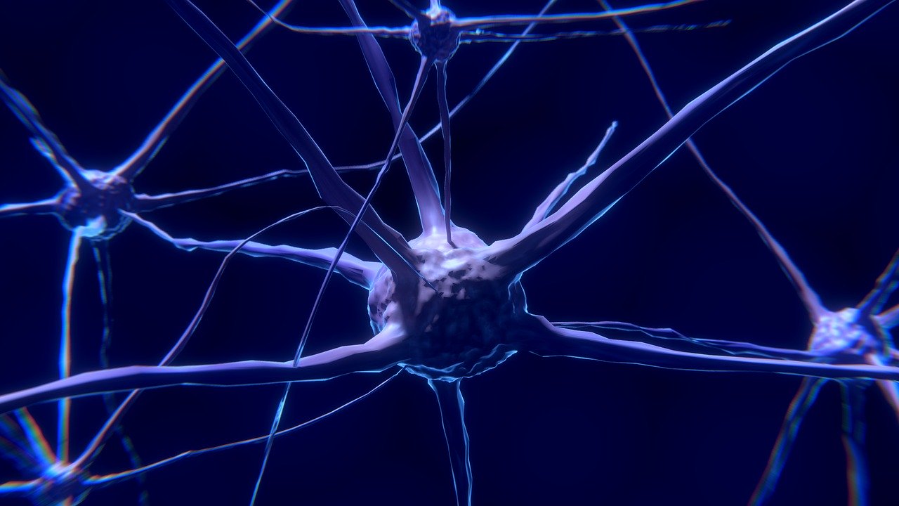 Cambridge Cognition