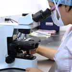 Directorstalk interviews (lon:) Cizzle Biotechnology Holdings