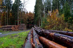 Gresham Forestry