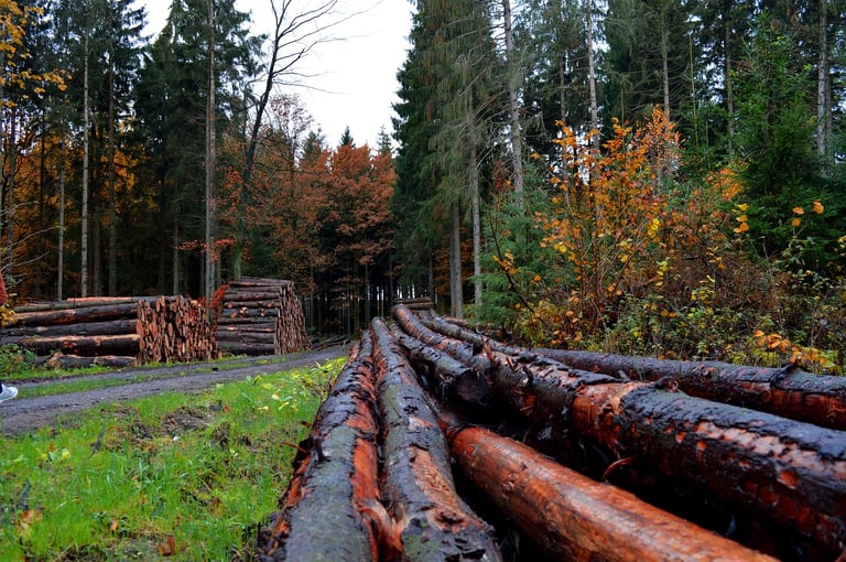 Gresham Forestry