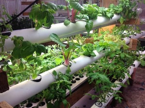 Pharm2Farm