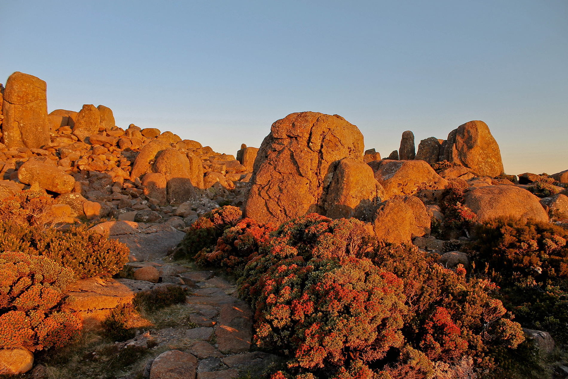 Tasmania
