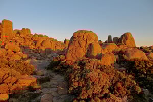 Tasmania