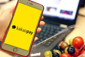Boku KakaoPay