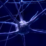 Cambridge Cognition