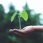 profit growth