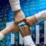 The Diverse Income Trust