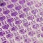 Astrea Bioseparations Deal with Avacta