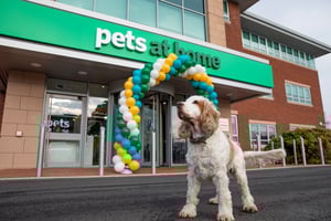 Pets at Home