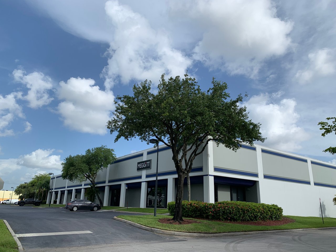 Meggitt plc