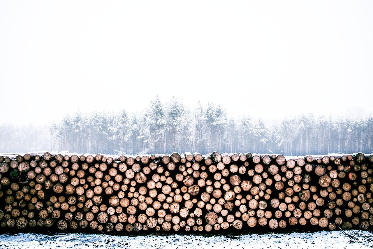 Forestry