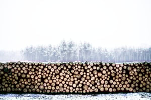 Forestry