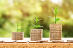 Investment Trust