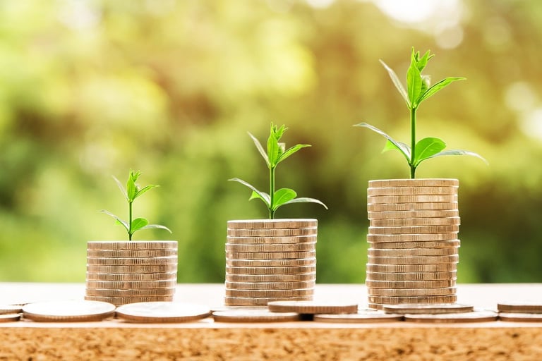 Investment Trust