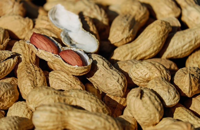 Allergy Therapeutics