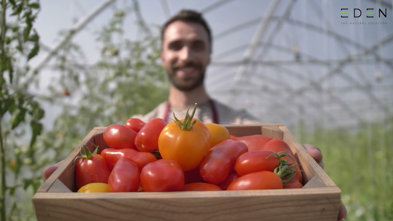 Eden Research meets accelerating demand for sustainable biopesticides and plastic-free products