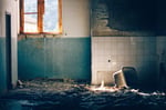 Housing disrepair