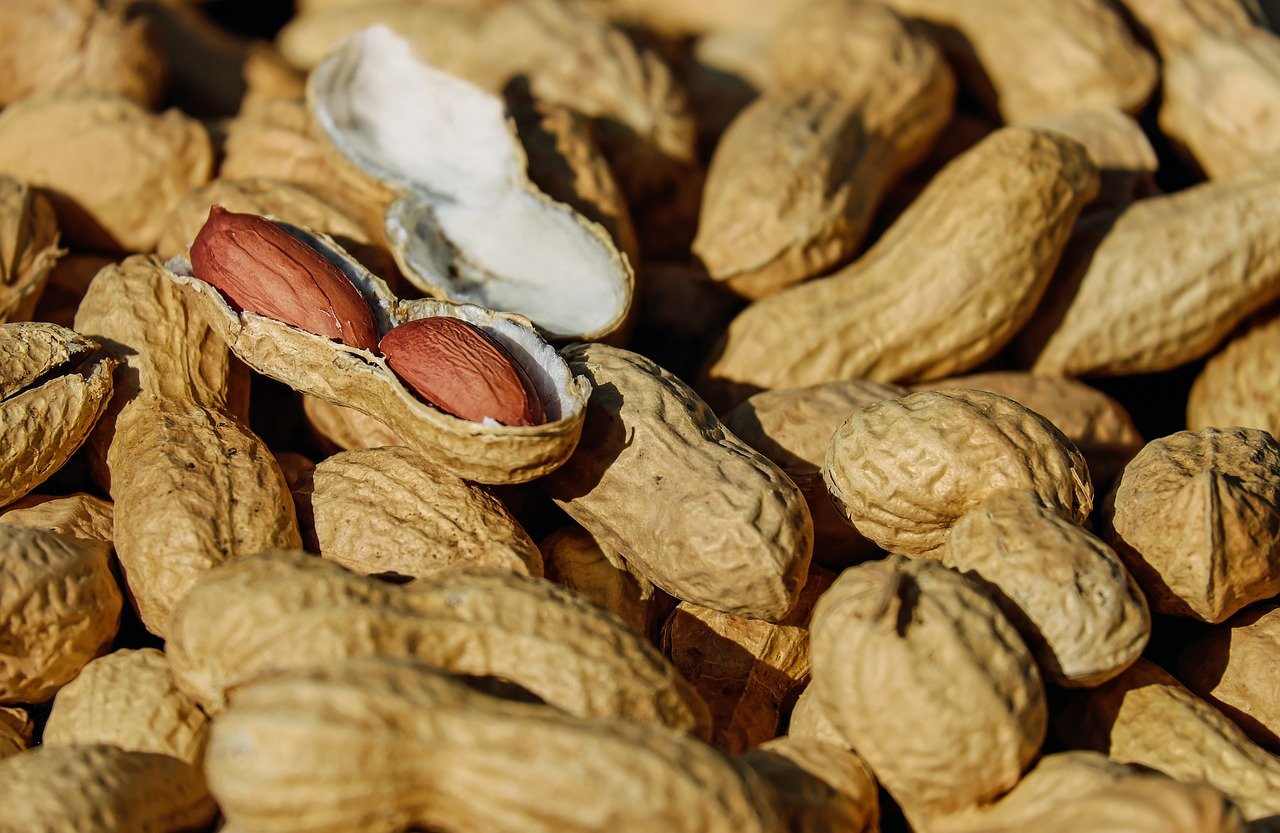 Allergy Therapeutics