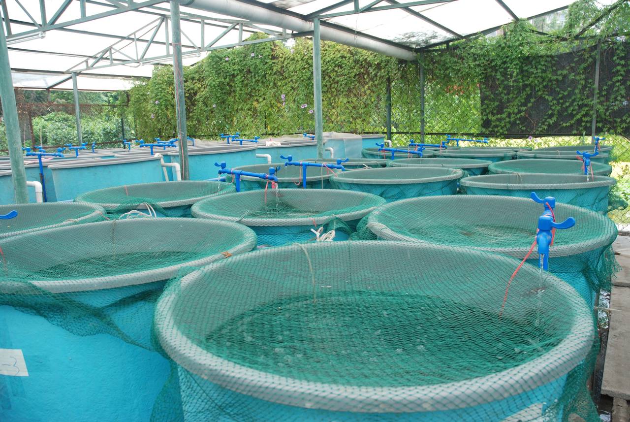 JLEN Environmental