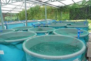 JLEN Environmental