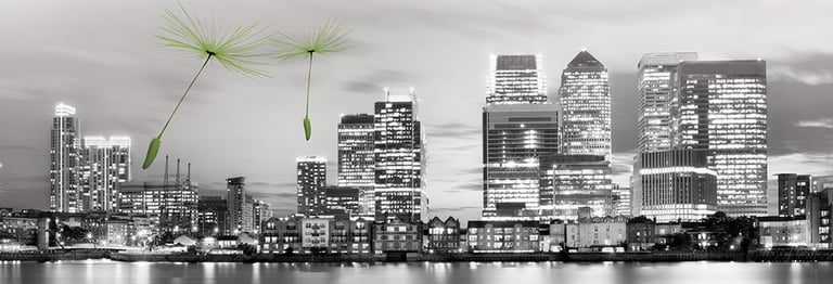 Tatton Asset Management