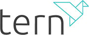 Tern plc
