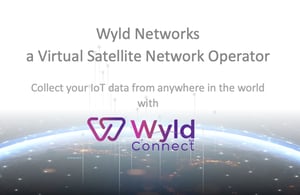 Tern Wyld Networks
