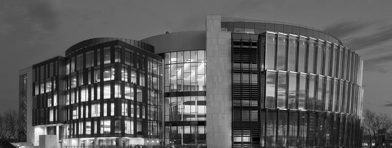 International Public Partnerships