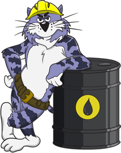Wildcat Petroleum