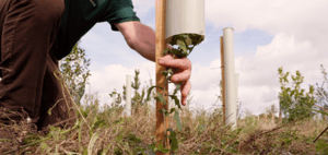 Biome Technologies