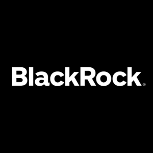 BlackRock Frontiers Investment Trust (LON:BRFI)