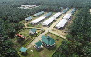 M. P. Evans Group