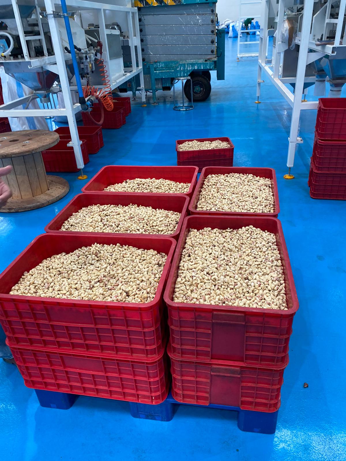 Dekel Agri-Vision