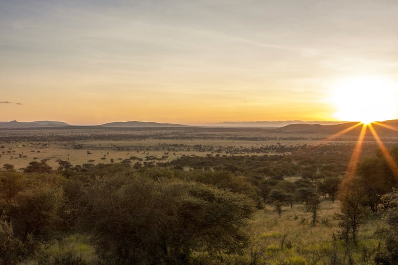 Arc Minerals Ltd (Lon:arcm) ARC Minerals