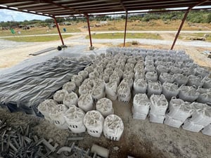 Firering Strategic Minerals