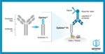Directorstalk interviews (lon:) Aptamer Group