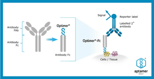 Aptamer Group