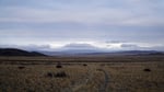 Directorstalk interviews (lon:) Central Asia Metals