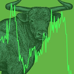 Ruffer Investment Company