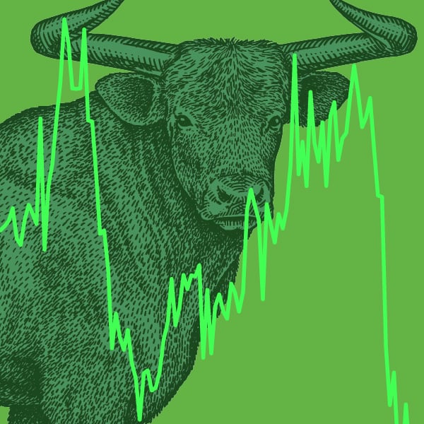 Ruffer Investment Company