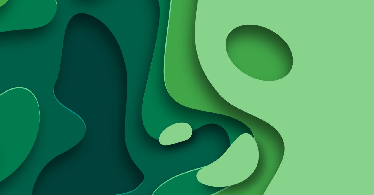 Ruffer Investment Company