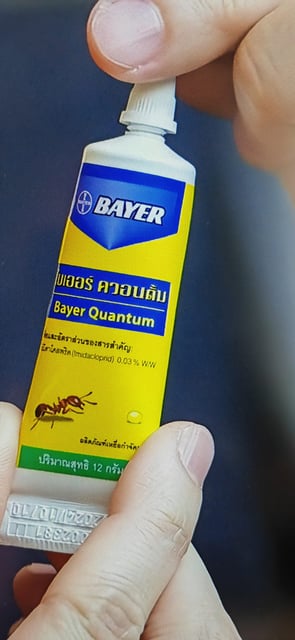Foto im Beitrag
