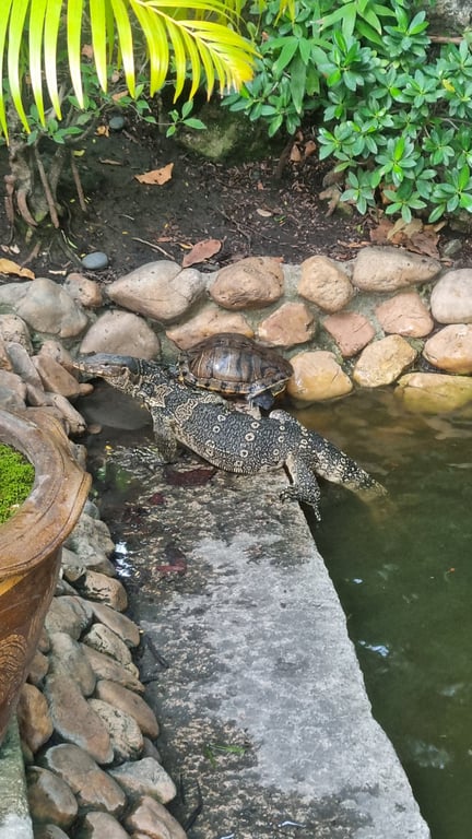 Foto von Tempel & wunderschöner Garten zum entspannen