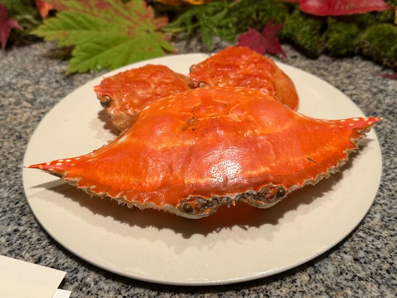 皿にのせた、茹で上げたワタリ蟹とセコ蟹の甲羅