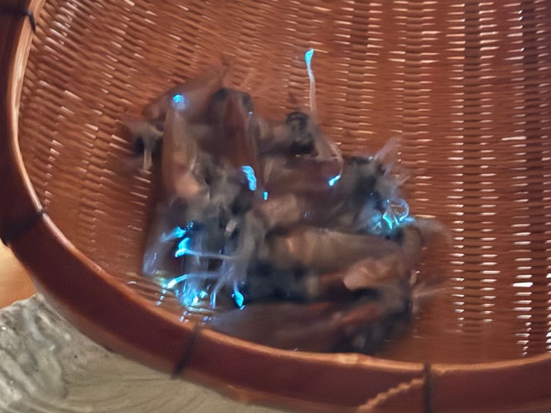 竹の笊に入った生きたホタルイカが青く光っている