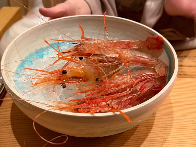 氷を敷いた鉢に並ぶ、生きた富山海老