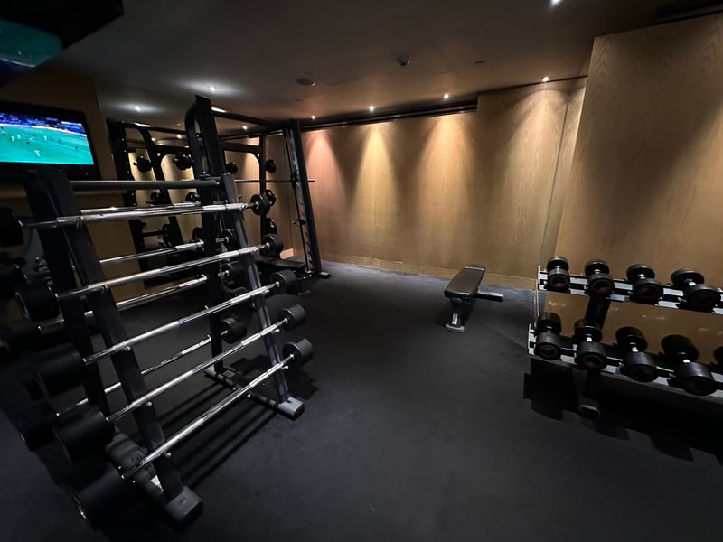 グランドハイアット香港 Plateau Spa フィットネス 概要